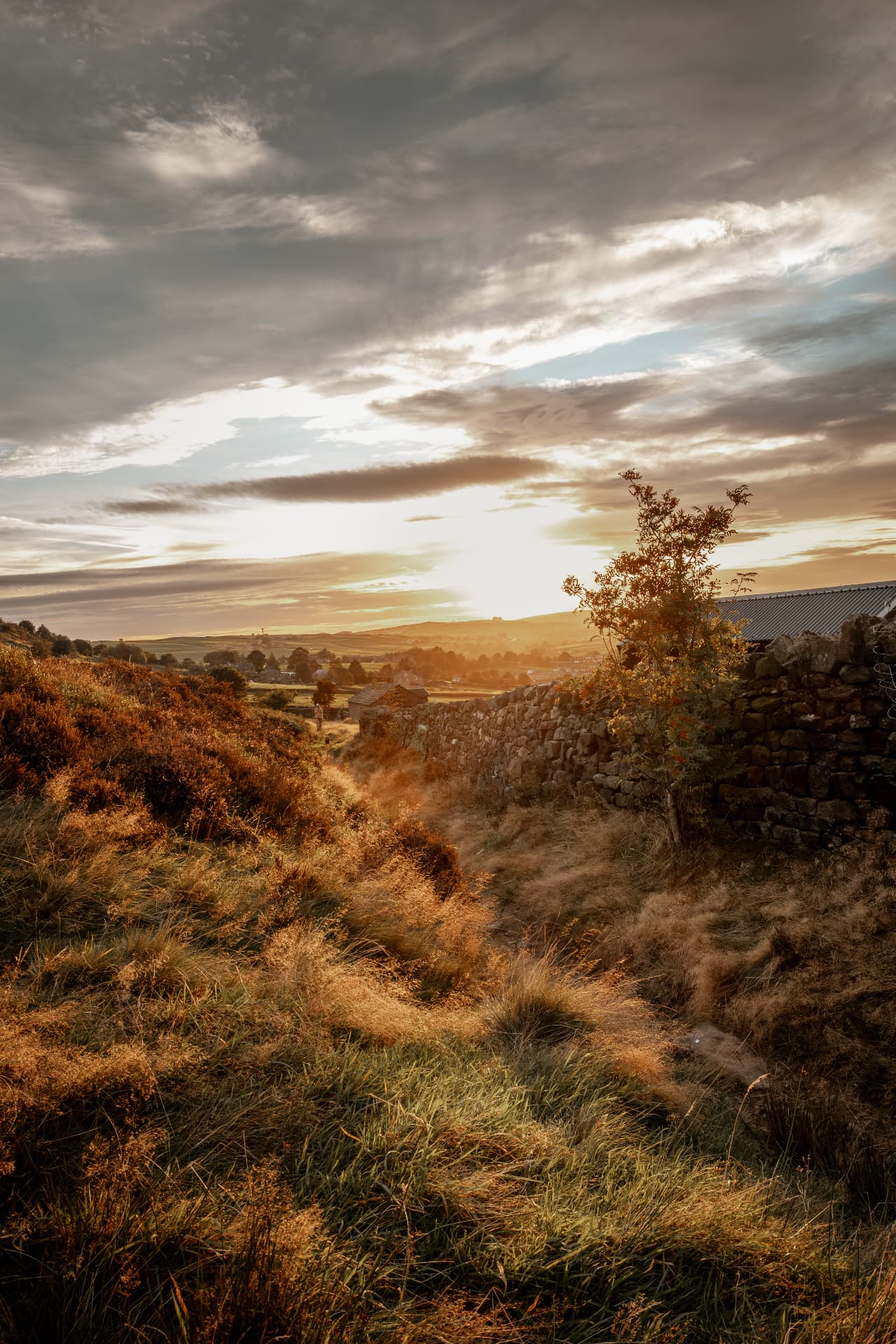 Golden evening light over Cowling, seen from the track above Baywood